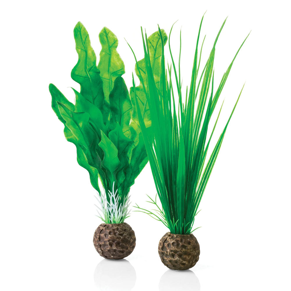 Easy Plants Small