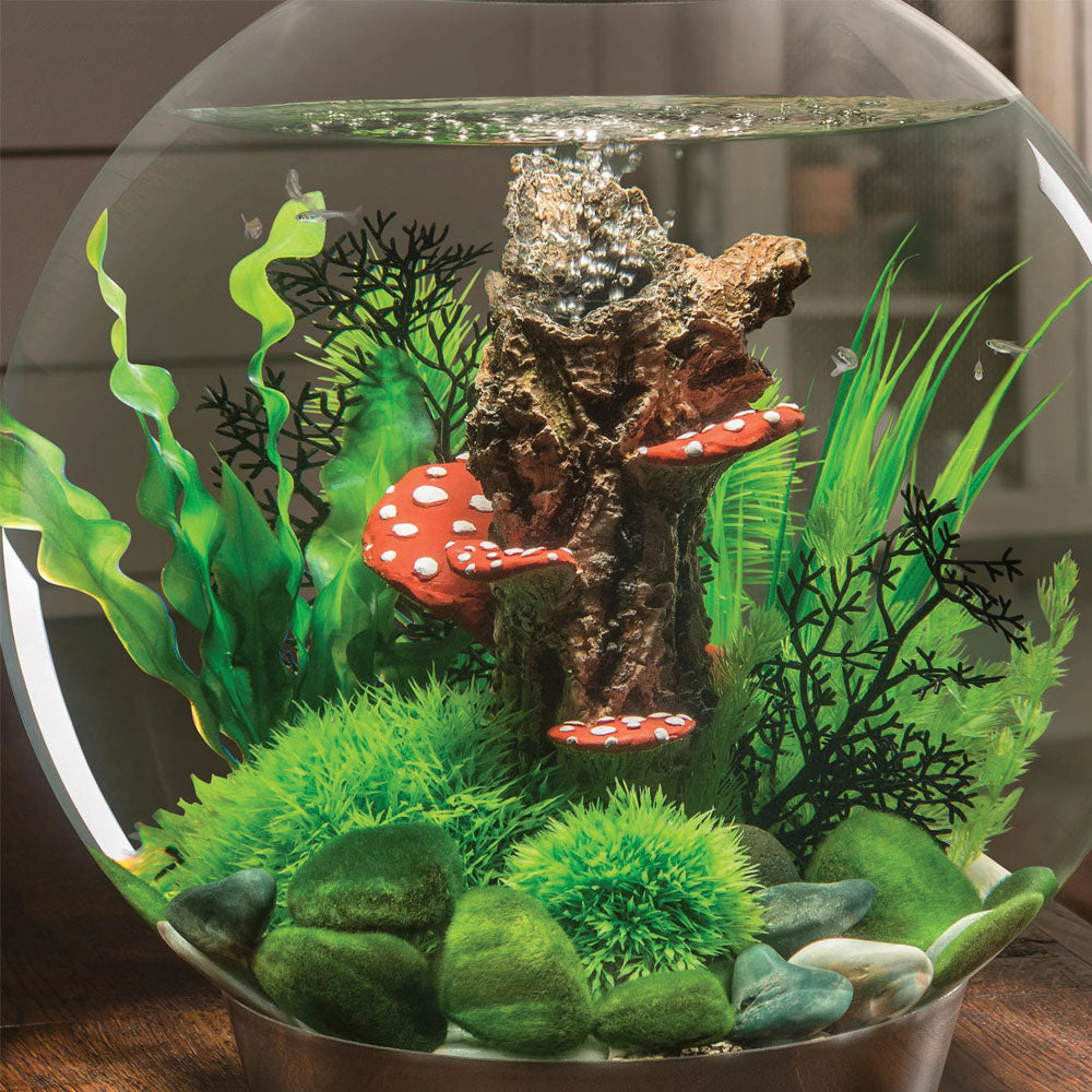 Easy Plants - Medium