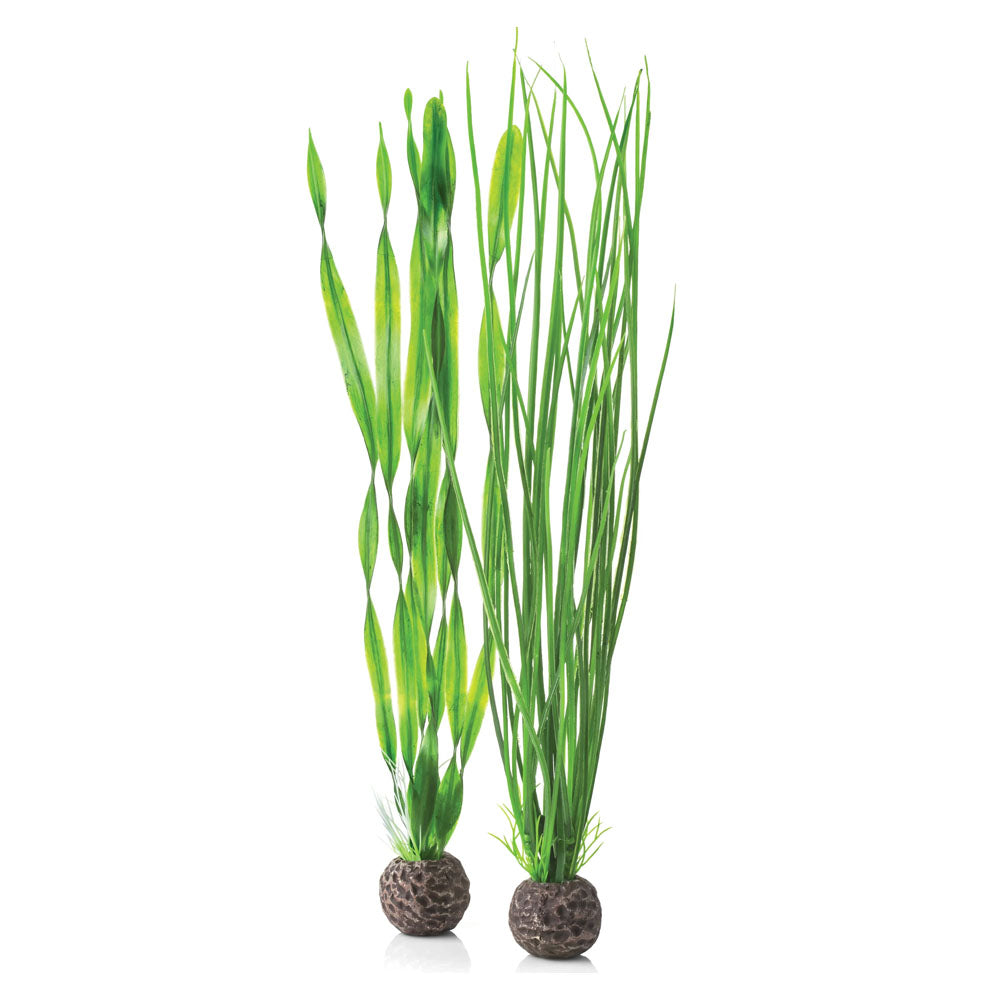 BiOrb Easy Plants - Large