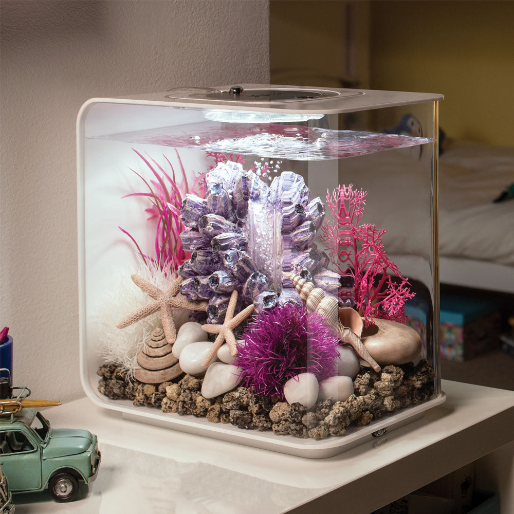 Colour Plants Red/Pink