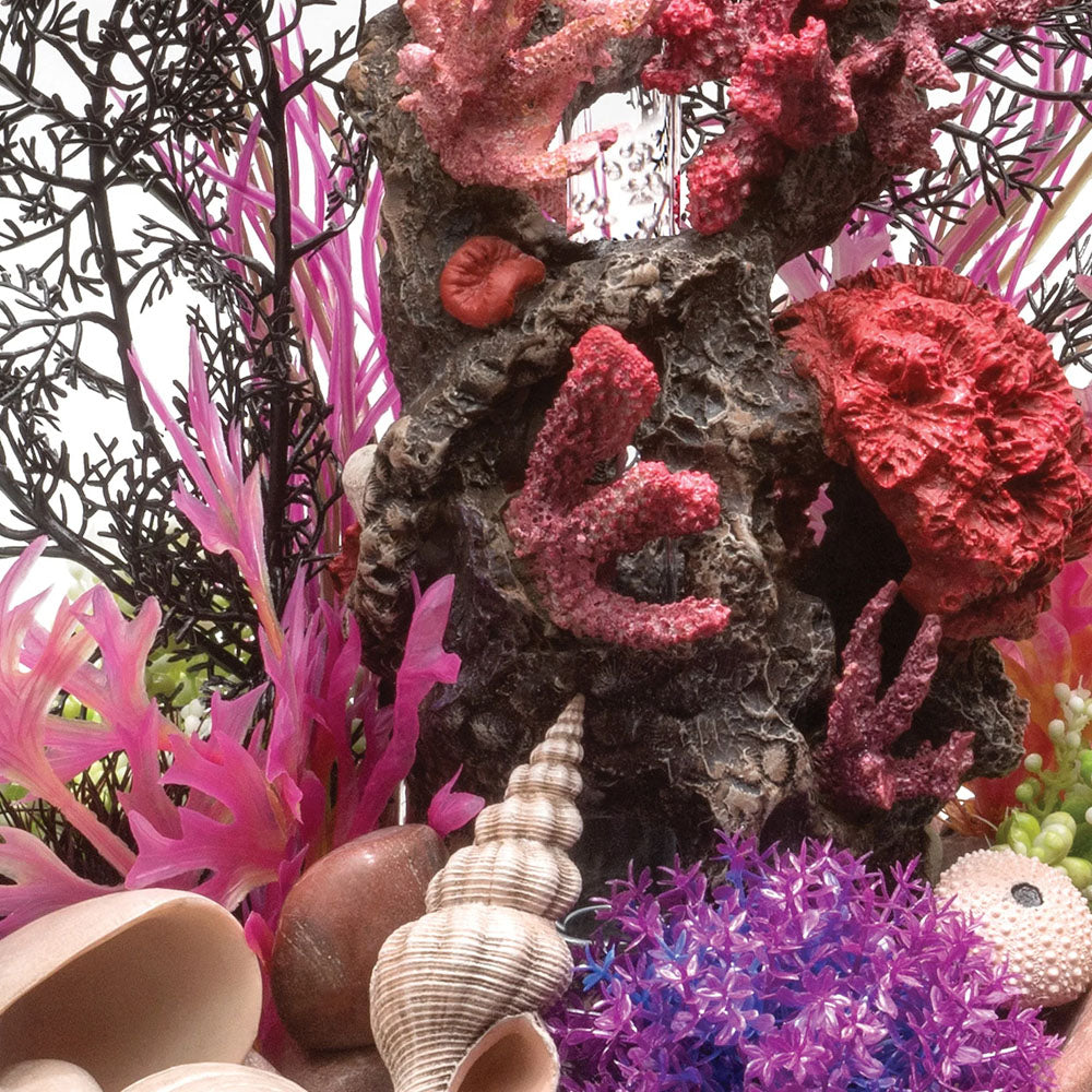 Colour Plants Red/Pink