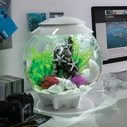 BiOrb Small Colour Balls