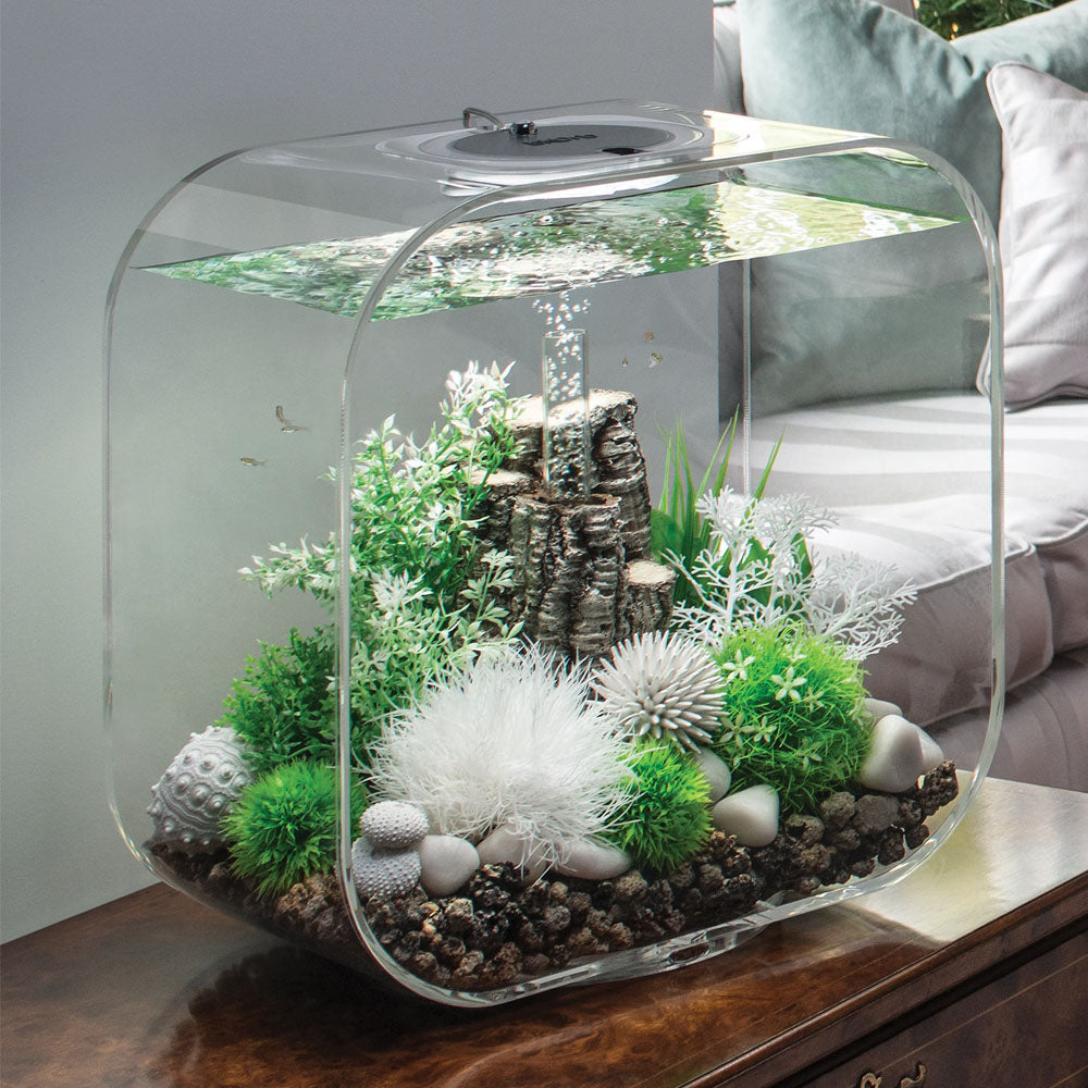 Winter Flowers Plant Pack