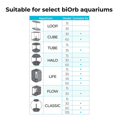 Winter Flowers Plant Pack