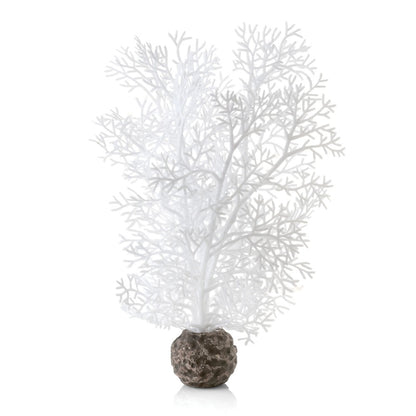 White Sea Fan - Small