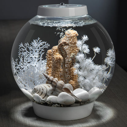 White Sea Fan - Small