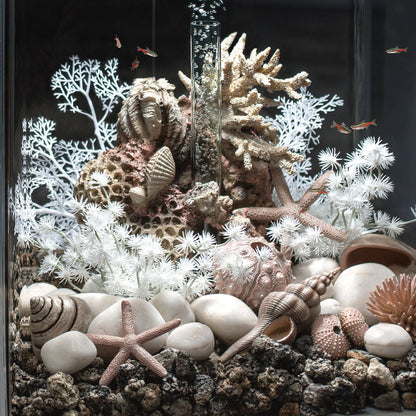 White Sea Fan - Small