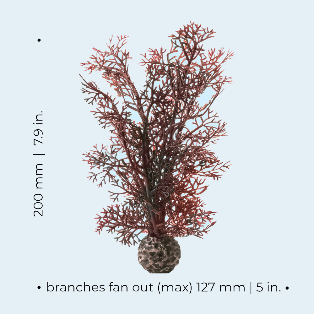 Crimson Sea Fan - Small