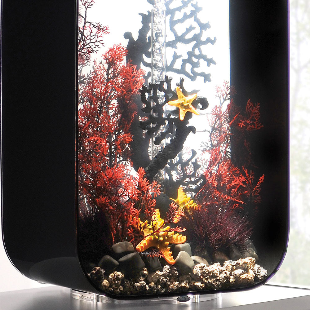 Crimson Sea Fan - Small