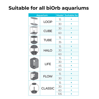 Crimson Sea Fan - Small