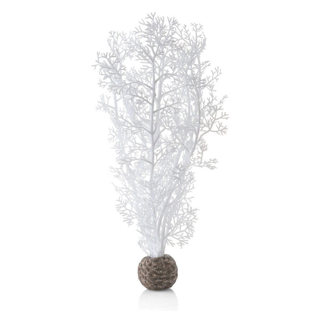 White Sea Fan - Medium
