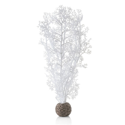 White Sea Fan - Medium