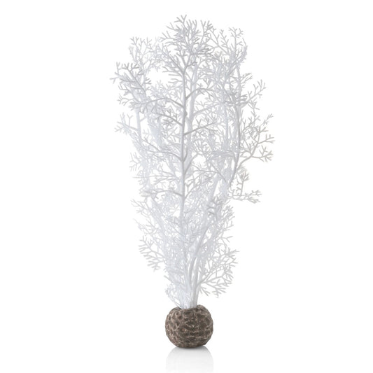 White Sea Fan - Medium