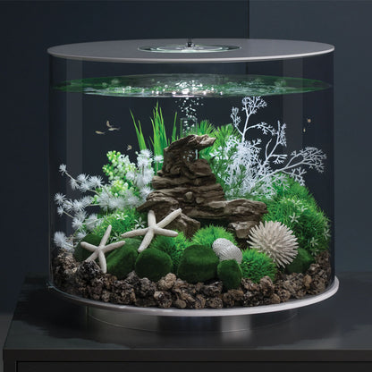 White Sea Fan - Medium