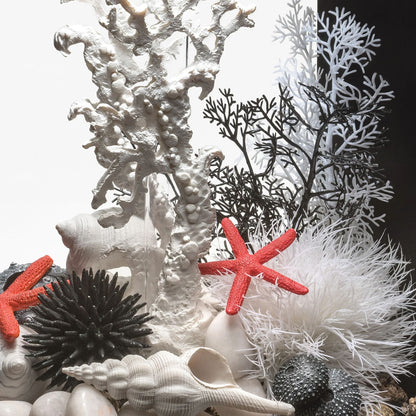 White Sea Fan - Medium