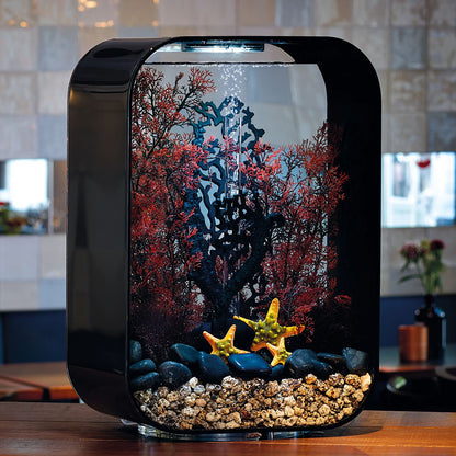 Crimson Sea Fan - Medium