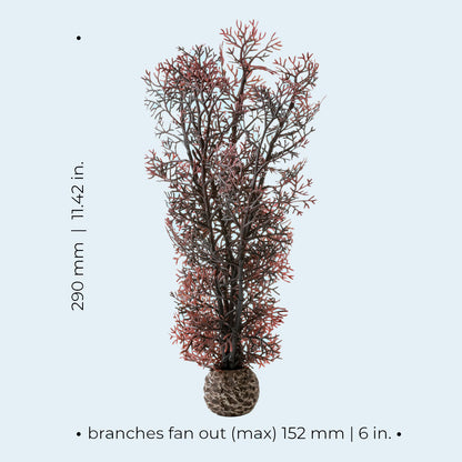 Crimson Sea Fan - Medium