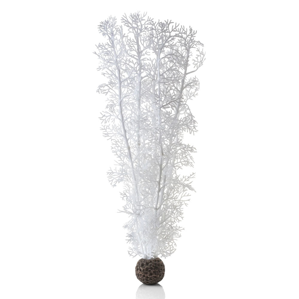 White Sea Fan - Large