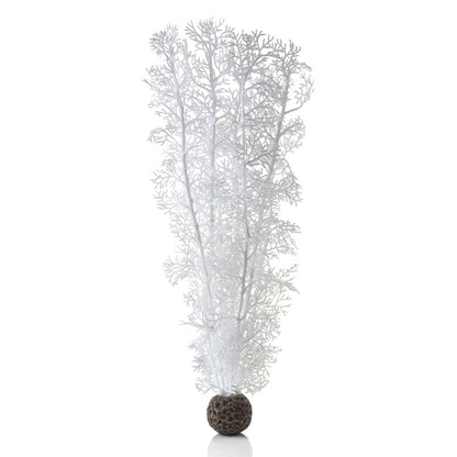 White Sea Fan - Large