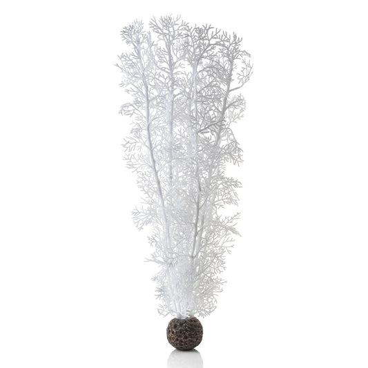 White Sea Fan - Large