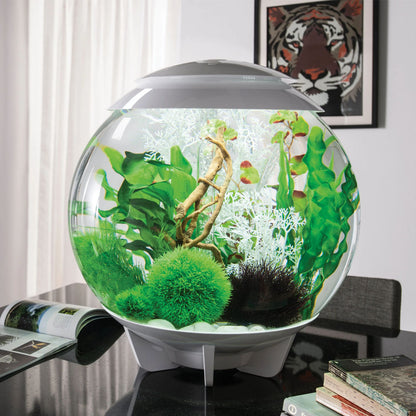 White Sea Fan - Large