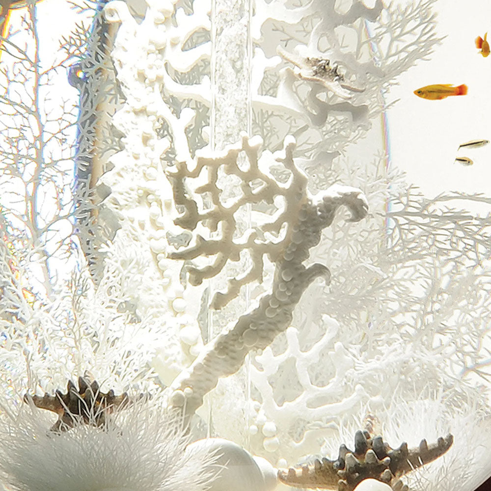 White Sea Fan - Large