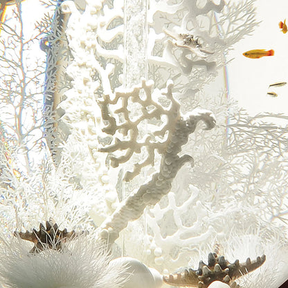 White Sea Fan - Large