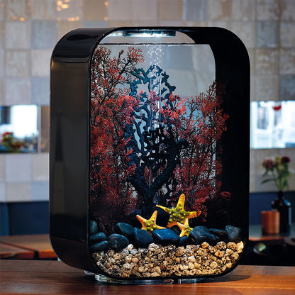 Crimson Sea Fan - Large