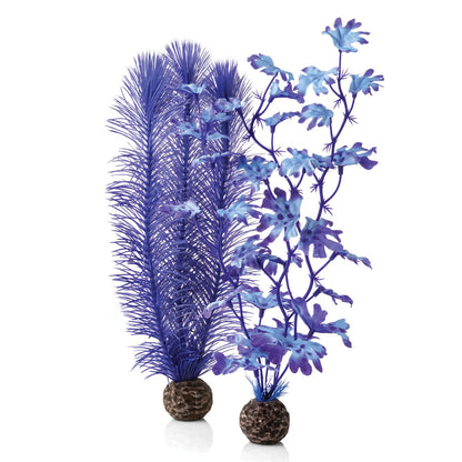 Purple Kelp - Medium