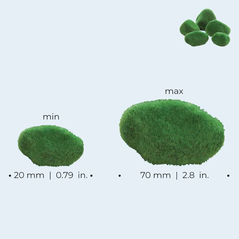 Moss Pebbles - Green