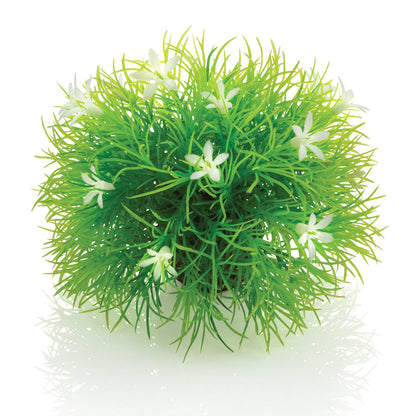 Topiary Ball With Daisies