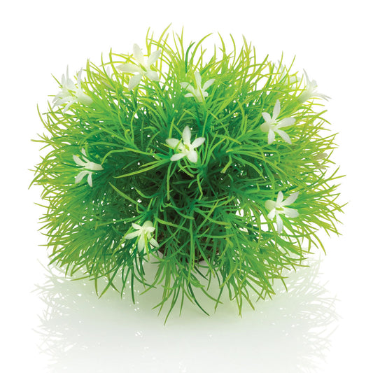 Topiary Ball With Daisies