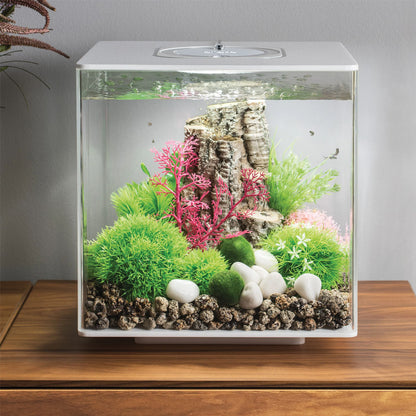 Topiary Ball With Daisies