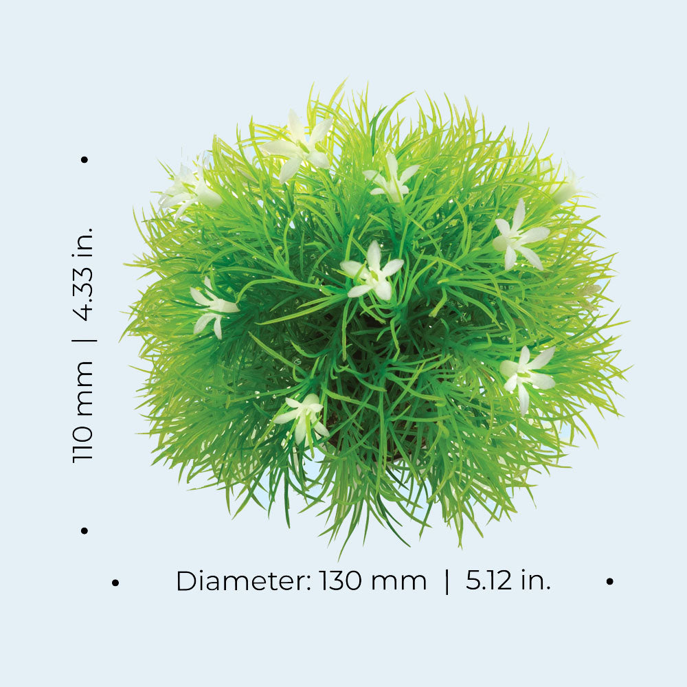 Topiary Ball With Daisies