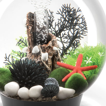 Topiary Ball With Daisies