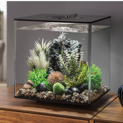 Topiary Ball - Green