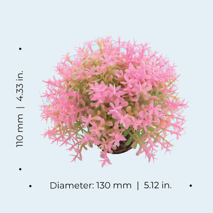 Topiary Ball - Pink