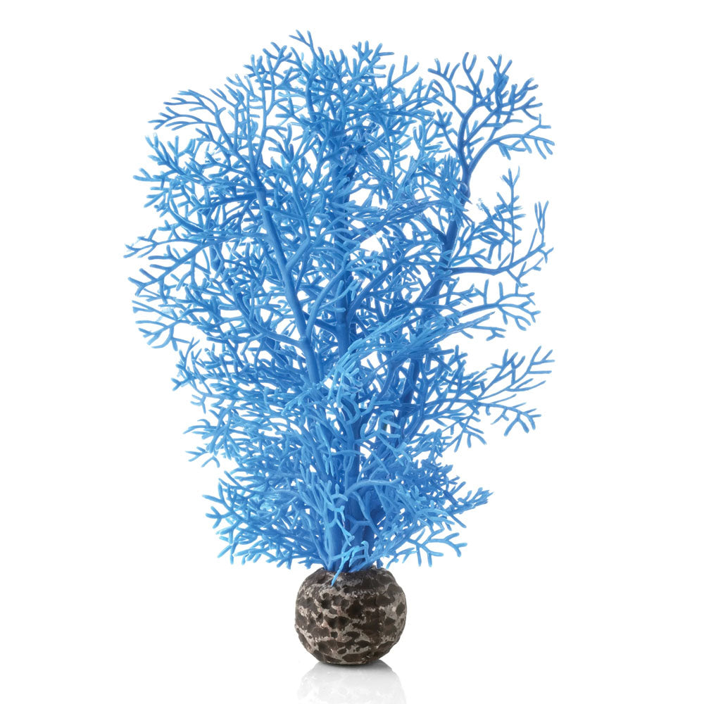 Blue Sea Fan - Small