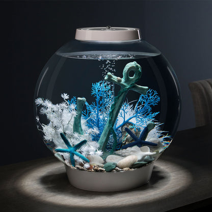 Blue Sea Fan - Small