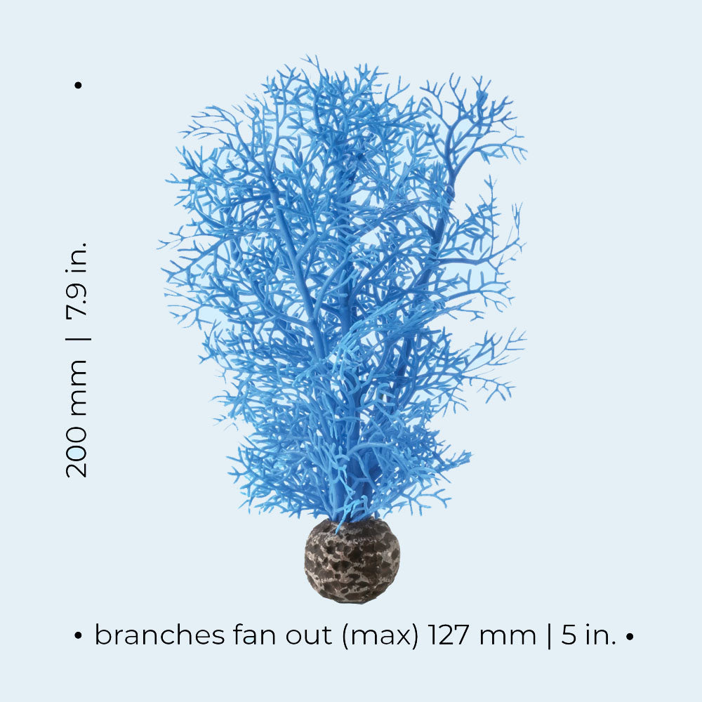 Blue Sea Fan - Small