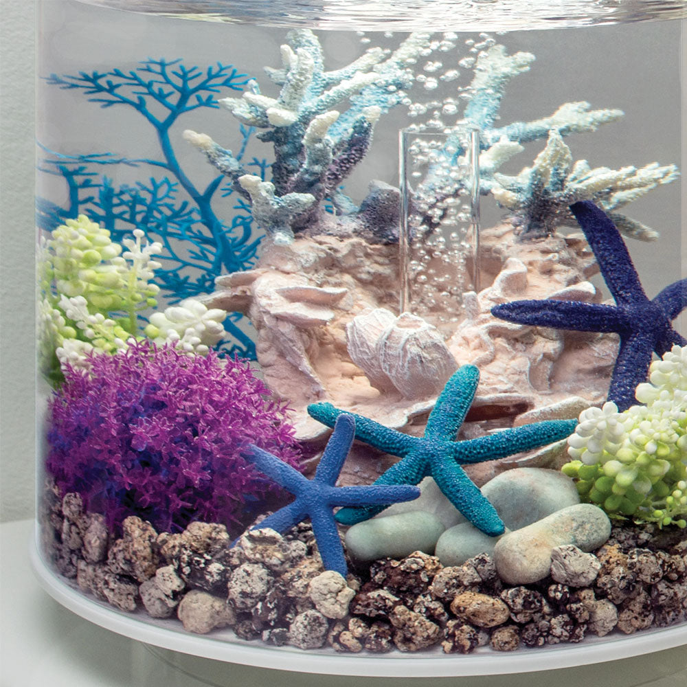 Blue Sea Fan - Small