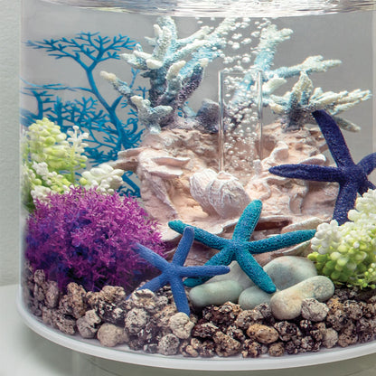 Blue Sea Fan - Small