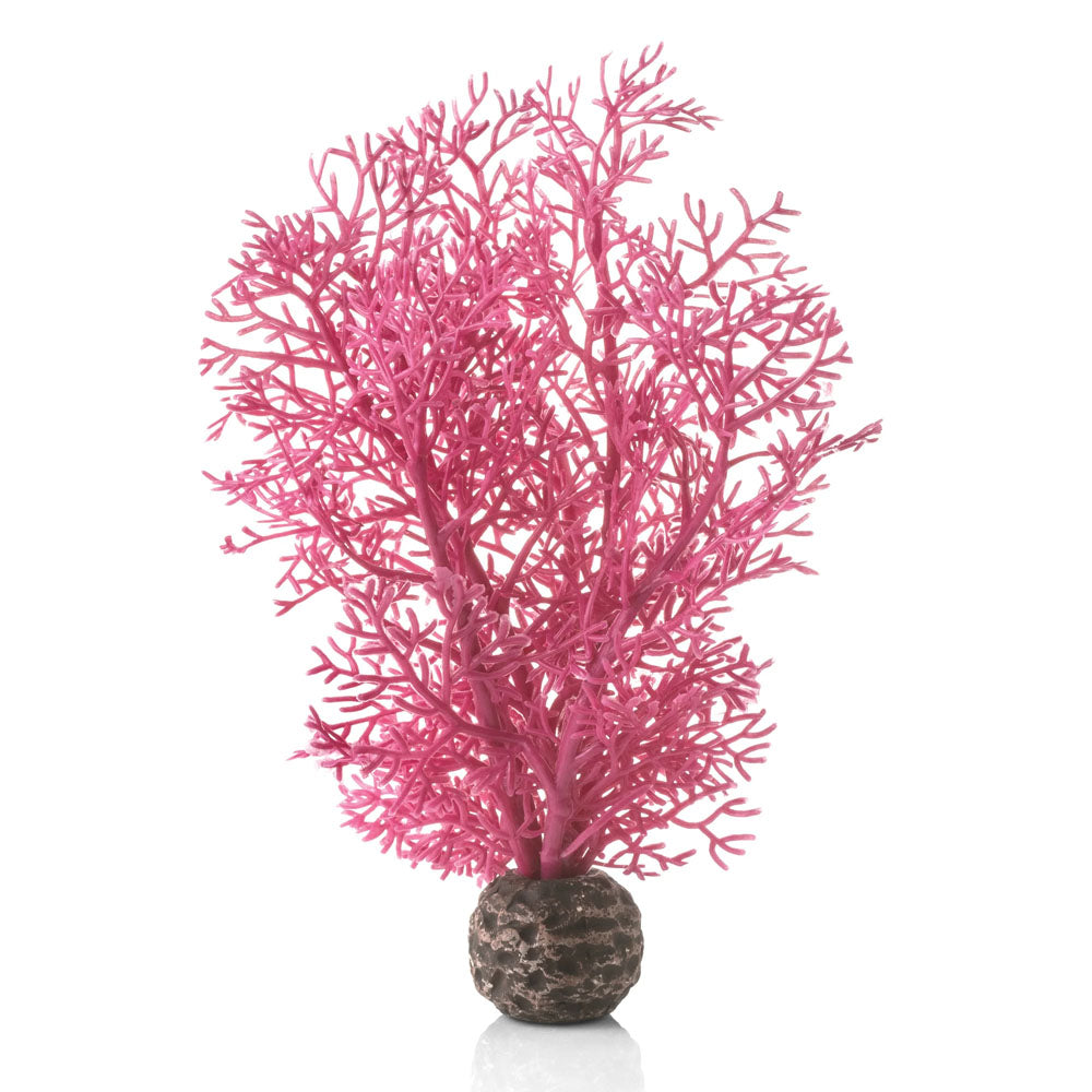 Pink Sea Fan - Small