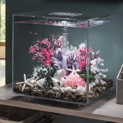 Pink Sea Fan - Small