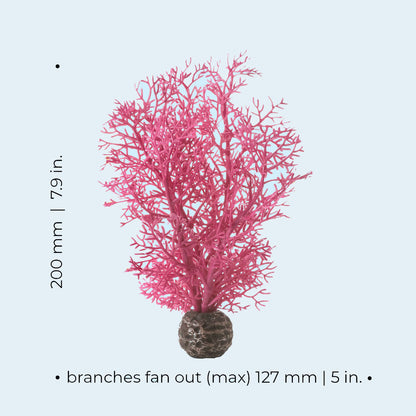 Pink Sea Fan - Small