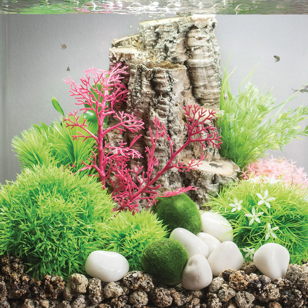 Pink Sea Fan - Small