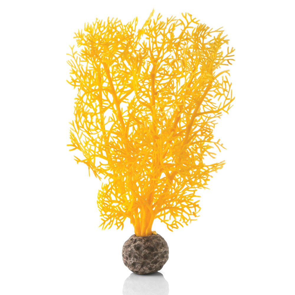 Orange Sea Fan - Small