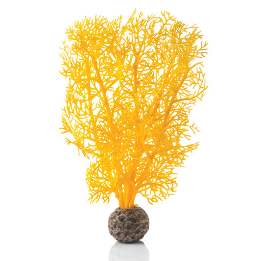 Orange Sea Fan - Small