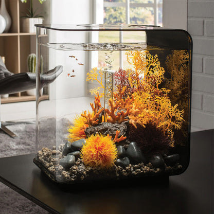 Orange Sea Fan - Small