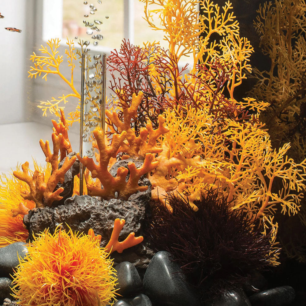 Orange Sea Fan - Small